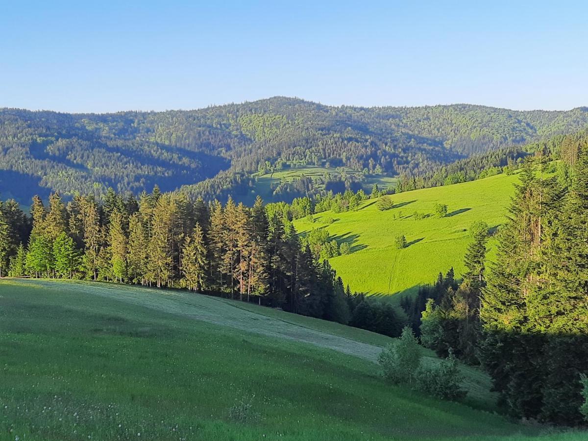 Domek Na Szlaku Rikardo Ponice Buitenkant foto